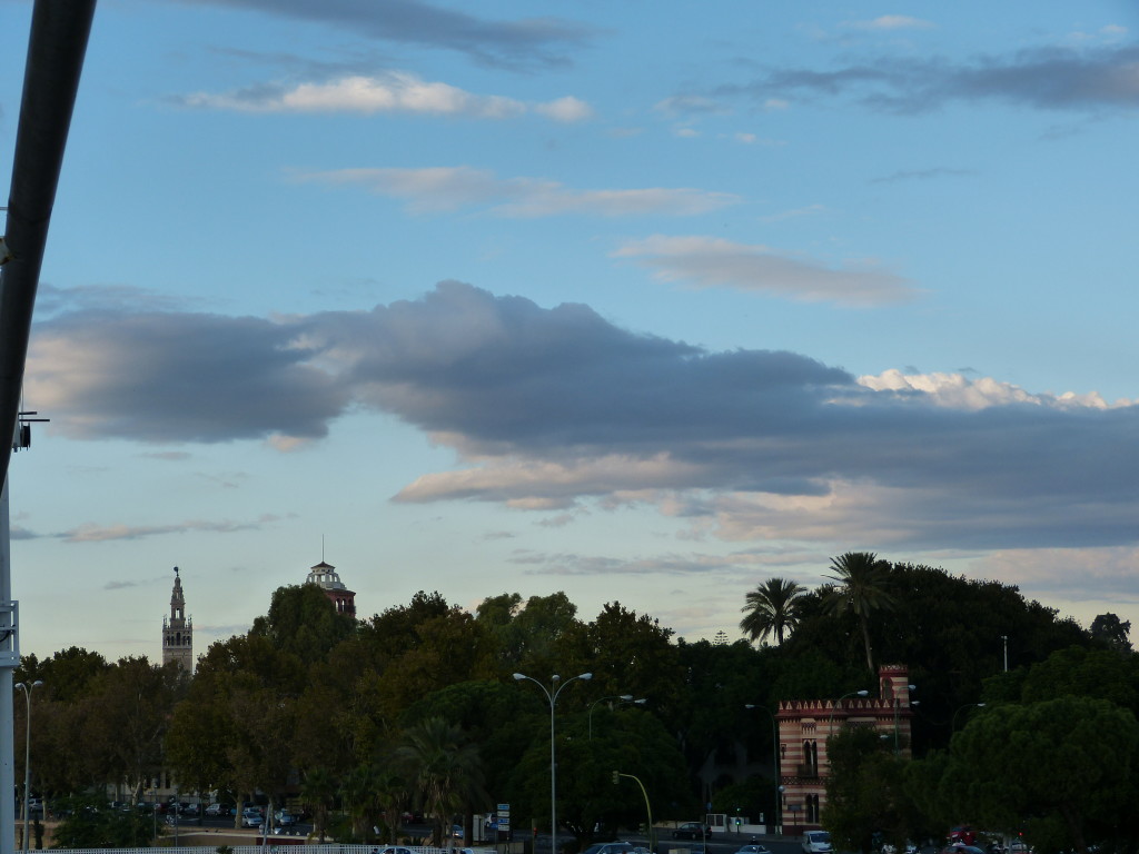 P1000970